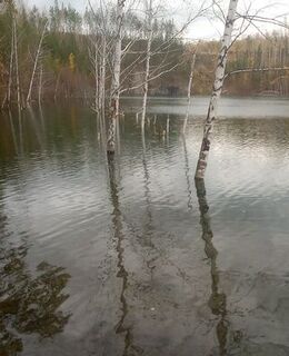 Андрей Кузнецов