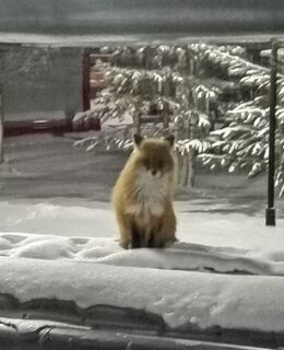 Ваня Ваня — фото 6